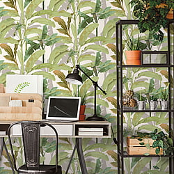 Galerie Wallcoverings Product Code 18541 - Into The Wild Wallpaper Collection - Green Colours - Banana Tree Design