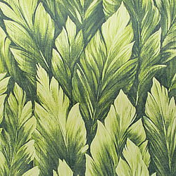 Galerie Wallcoverings Product Code 26708 - Tropical Wallpaper Collection - Avocado Colours - Samoa Design