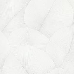 Galerie Wallcoverings Product Code 34507 - Kumano Wallpaper Collection - White Colours - Palm Leaf Design