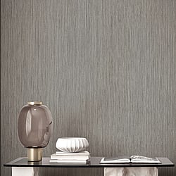 Galerie Wallcoverings Product Code 35989 - Ornamenta Wallpaper Collection - Silver Grey Colours -  