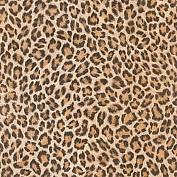 Galerie Wallcoverings Product Code 473612 - African Queen 2 Wallpaper Collection -   