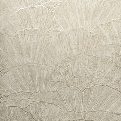 Galerie Wallcoverings Product Code 65003 - Feel Wallpaper Collection - Cream Silver Grey Colours - Seashell Design