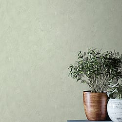 Galerie Wallcoverings Product Code AM25304 - Shades Of Colour Wallpaper Collection - Moss Colours - Plain Design