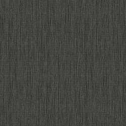 Galerie Wallcoverings Product Code BA26019 - Shades Of Colour Wallpaper Collection - Black Colours - Rafia Design