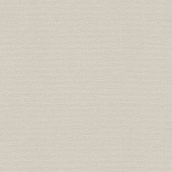 Galerie Wallcoverings Product Code BW51002 - Blooming Wild Wallpaper Collection - Beige Colours - Plain Texture Design