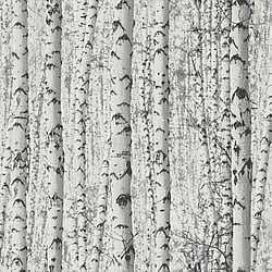 Galerie Wallcoverings Product Code BW51006 - Blooming Wild Wallpaper Collection - Grey White Colours - Birch Tree Motif Design
