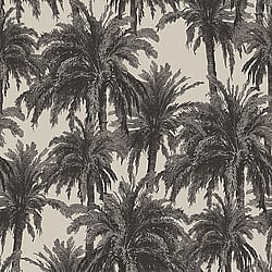 Galerie Wallcoverings Product Code ED13050 - Ted Baker Eden Wallpaper Collection - Taupe Black Colours - Treetops Design