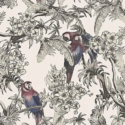 Galerie Wallcoverings Product Code ED13087 - Ted Baker Eden Wallpaper Collection - Pink Red Blue Black Colours - Macaw Design