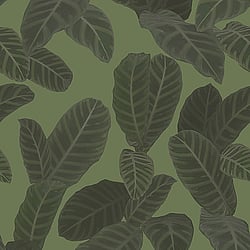 Galerie Wallcoverings Product Code ED13127 - Ted Baker Eden Wallpaper Collection - Green Colours - Piner Design