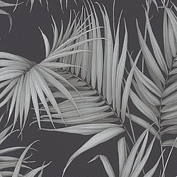 Galerie Wallcoverings Product Code ES31134 - Escape Wallpaper Collection - Green, Grey, Black Colours - Palm Leaves Design