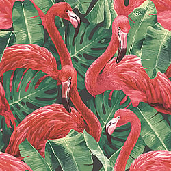 Galerie Wallcoverings Product Code G56405 - Global Fusion Wallpaper Collection -  Flamingos Design