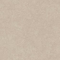 Galerie Wallcoverings Product Code G78119 - Texture Fx Wallpaper Collection - Browns Colours - Sandstone Design