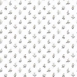 Galerie Wallcoverings Product Code PF38167 - Pretty Prints Wallpaper Collection - Beige, Grey Colours - Mini Garden Spot Design