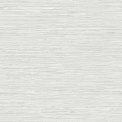 Galerie Wallcoverings Product Code SB37920 - Simply Silks 4 Wallpaper Collection - Silver Metallic Colours - Grasscloth Design