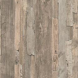 Galerie Wallcoverings Product Code WW22215 - The Woods And Wicker Wallpaper Collection - Beige Brown Colours - Drift Wood Effect Motif Design