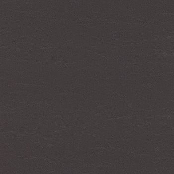 Galerie Wallcoverings Product Code 474206 - African Queen 2 Wallpaper Collection -   