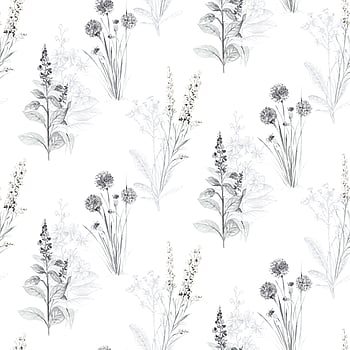 Galerie Wallcoverings Product Code AB42443 - Abby Rose 3 Wallpaper Collection - Grey Black Colours -  