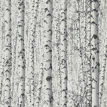 Galerie Wallcoverings Product Code BW51006 - Blooming Wild Wallpaper Collection - Grey White Colours -  